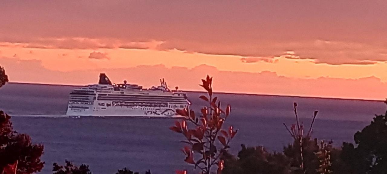 Vila Pogled Bar Rum bild